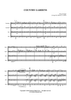 Country Gardens - Score