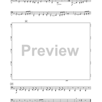 Warrior Legacy - Tuba