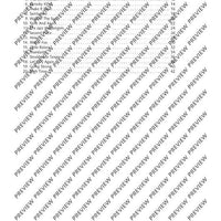Recorder Styles - Percussion Score
