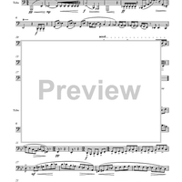 Five Segments for Solo Tuba - Tuba
