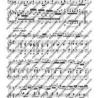 Variationen über „Nel cor più non mi sento“