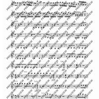 Concerto E Minor - Set of Parts