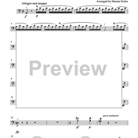 Cello Accompaniments - Volume 3