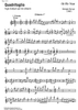Quadrifoglio - Guitar 1