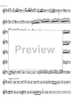 Concerto No. 4 D Major KV218 - Violin
