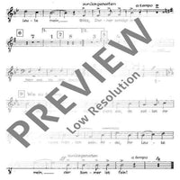 Das Jahr im Lied - Tenor