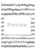 Concerto No. 5  A Major KV219 - Violin