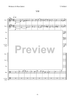 12 Miniatures - Score