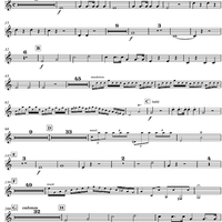 Concerto for Mandolin and Orchestra in F major - Horn in F 2