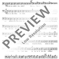 Bei uns z' Haus - Bass Ii