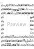 Concerto No. 1 G Major KV313 - Flute