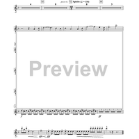 Warrior Legacy - Piccolo