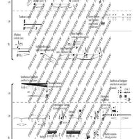 Voi(es)x métallique(s) - Performing Score