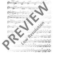 Concerto D Major - Flute