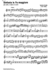 Sinfonia F Major - Violin 1