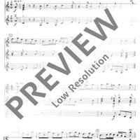 Musik der Wiener Klassik - Performing Score