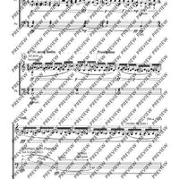 Cadenzas - Performing Score