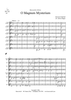 O Magnum Mysterium - Score