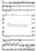 Concerto for guitar and strings - Score