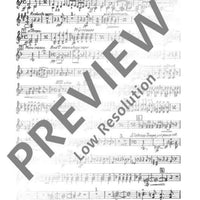 Il Guarany - Set of Parts