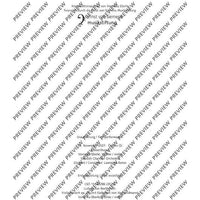 Cadenzas - Performing Score