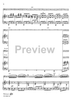 Concerto in G Minor for Basoon, Strings and Cembalo - Piano Accompaniment