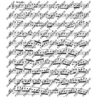 25 Romantische Etüden