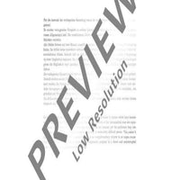 Orgelspiel im Kirchenjahr