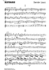 Ricuarz - Flute/Violin