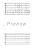 Fantasia di Concerto - Score