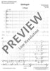 Säckingen - Score