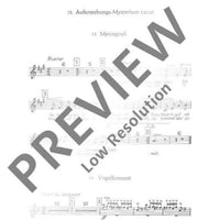 Das Jahr im Lied - Alto