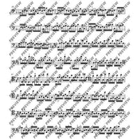 24 Caprices in all keys