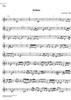 Eclipse - Tenor Recorder