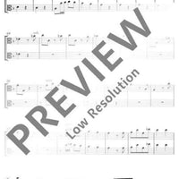 Concerto Grosso - Viola