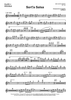 Sort's Salsa - Flute 1/Piccolo