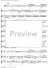 Sonata No. 13 in G Minor - Flute