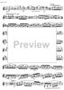 Preliminary studies to 'The Accomplished Clarinettist' Vol. 1 - Clarinet
