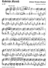 Radetzky Marsch Op.228