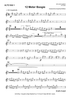 12 Meter Boogie - Alto Saxophone 1