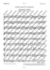 Concerto E Minor - Set of Parts
