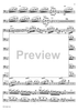 Concerto in G Minor for Basoon, Strings and Cembalo - Piano Accompaniment