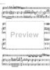 Concerto No. 1 G Major KV313 - Score