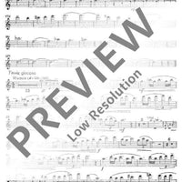 Divertimento giocoso - Flute I