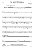 The Spirit of Cashel - Tuba
