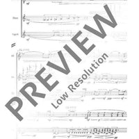 dull roots & spring rain - Performing Score