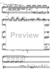 Cadenza Concerto D Major No.11 1st and  2nd movement