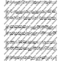 Flute Duets - Performing Score