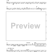 Allegro vivace -  from concerto N°3 for piano - Timpani