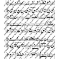 Duo D major - Performing Score